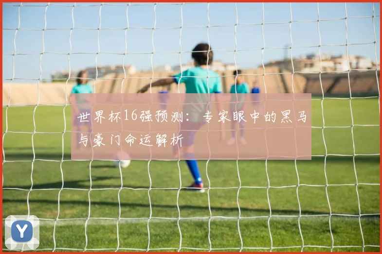 世界杯16强预测：专家眼中的黑马与豪门命运解析